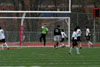 BPHS Boys Soccer PIAA Playoff vs Pine Richland pg1 - Picture 04
