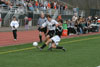 BPHS Boys Soccer PIAA Playoff vs Pine Richland pg1 - Picture 32