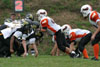 Mighty Mite White vs North Allegheny Tigers - Picture 01