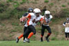 Mighty Mite White vs North Allegheny Tigers - Picture 10