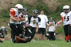 Mighty Mite White vs North Allegheny Tigers - Picture 11