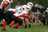Mighty Mite White vs North Allegheny Tigers - Picture 14