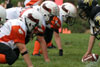 Mighty Mite White vs North Allegheny Tigers - Picture 15