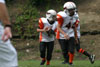 Mighty Mite White vs North Allegheny Tigers - Picture 18