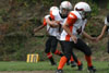 Mighty Mite White vs North Allegheny Tigers - Picture 19