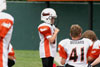 Mighty Mite White vs North Allegheny Tigers - Picture 20