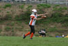 Mighty Mite White vs North Allegheny Tigers - Picture 24