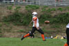Mighty Mite White vs North Allegheny Tigers - Picture 25