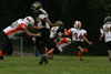 Mighty Mite White vs North Allegheny Tigers - Picture 28