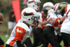 Mighty Mite White vs North Allegheny Tigers - Picture 37