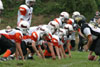 Mighty Mite White vs North Allegheny Tigers - Picture 41