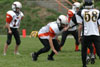 Mighty Mite White vs North Allegheny Tigers - Picture 45