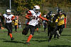 Mighty Mite White vs N Allegheny pg1 - Picture 24