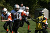 Mighty Mite White vs N Allegheny pg1 - Picture 44