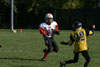 Mighty Mite White vs N Allegheny pg1 - Picture 45