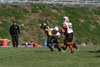 Mighty Mite White vs N Allegheny pg2 - Picture 37