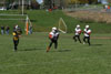 Mighty Mite White vs N Allegheny pg2 - Picture 43