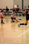 BPHS Girls Varsity Volleyball v Penn Hills p2 - Picture 01
