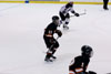 Hockey - Freshmen - BP vs Baldwin p2 - Picture 10