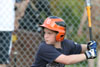 SLL Orioles vs Tigers pg3 - Picture 19
