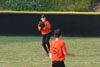 SLL Orioles vs Tigers pg2 - Picture 42