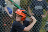 SLL Orioles vs Tigers pg2 - Picture 44