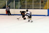 Hockey - Freshmen - BP vs Mt Lebanon p3 - Picture 28