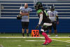 Dayton Hornets vs Indianapolis Tornados p3 - Picture 47