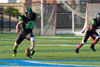 Dayton Hornets vs Indianapolis Tornados p1 - Picture 15