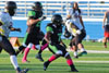 Dayton Hornets vs Indianapolis Tornados p1 - Picture 48